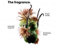 Seria do wosw zniszczonych Loral Professionnel Serie Expert Absolut Repair Molecular