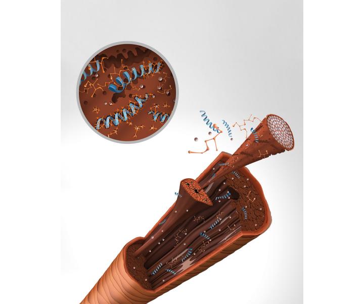 Odywka wzmacniajca do wosw osabionych i amliwych Goldwell Dualsenses Bond Pro - 200 ml