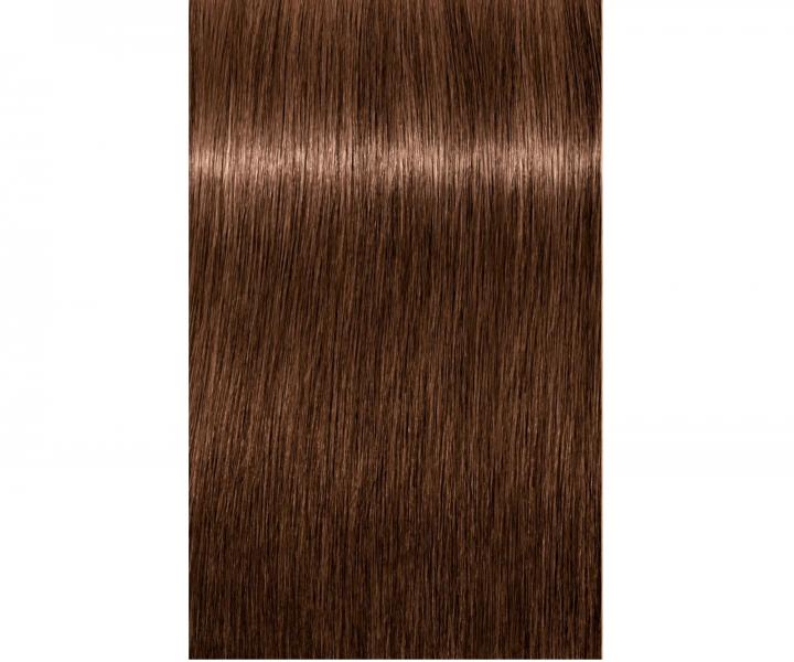 Farba do wosw Schwarzkopf Professional Igora Royal 60 ml - 6-6 ciemny blond czekoladowy