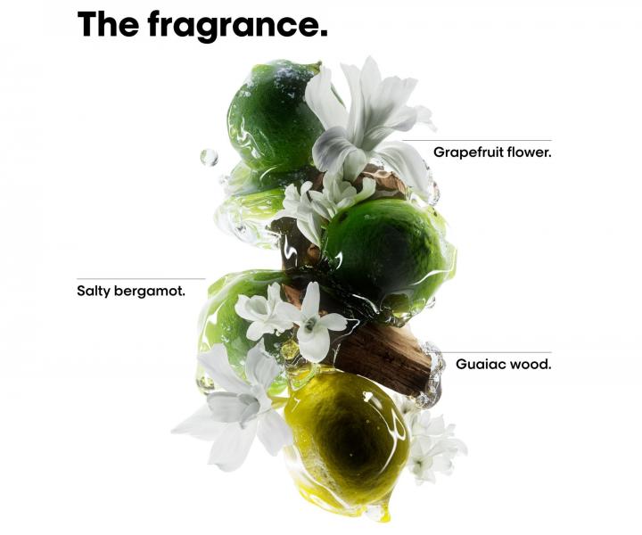 Seria do w�os�w farbowanych i zniszczonych L�Or�al Professionnel Serie Expert Metal Detox