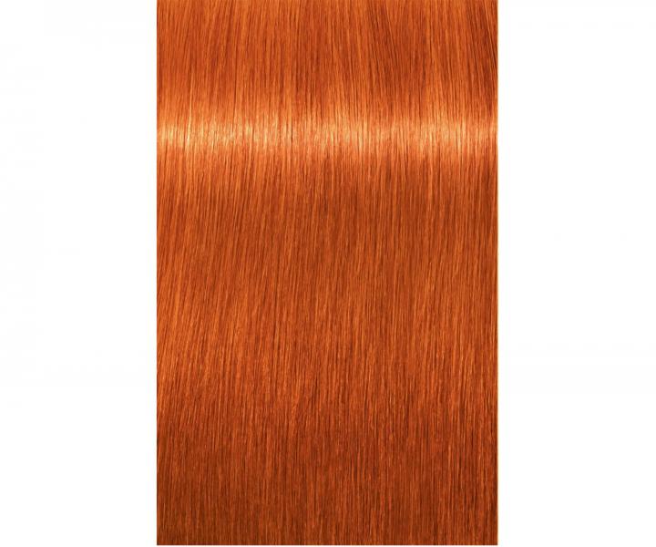 Farba do wosw Schwarzkopf Professional Igora Royal 60 ml - 8-77 jasny blond miedziany ekstra