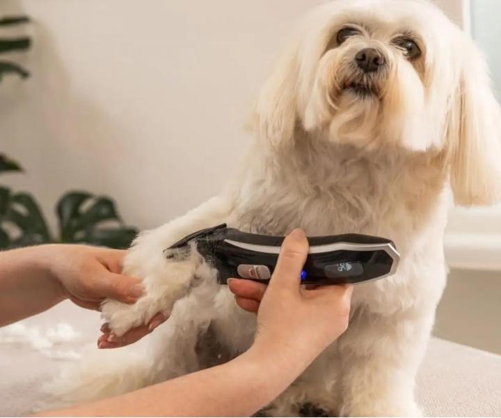 Profesjonalna maszynka do sier�ci zwierz�t Wahl Professional Smart Clip 3028588 - czarna