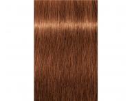 Farba do wosw Schwarzkopf Professional Igora Royal 60 ml - 7-76 redni blond miedziano czekoladowy