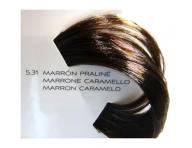 Farba do w�os�w ton w ton Lor�al Diarichesse 50 ml - 5.31 jasny br�z z�ocisto-popielaty