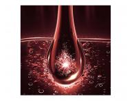 Serum przeciw wypadaniu w�os�w Lor�al Paris Elseve Full Resist Aminexil Anti Hair-Fall Serum -102 ml