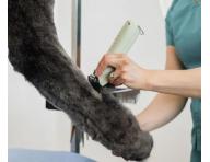 Profesjonalna maszynka do sier�ci zwierz�t Wahl Professional KMC+ Cord/Cordless Clipper - mi�towo-zielona