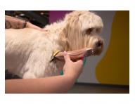 Profesjonalna maszynka do sier�ci Wahl Motiva 2 3028118 - br�zowa