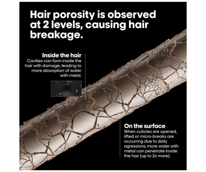 Seria do wosw farbowanych i zniszczonych LOral Professionnel Serie Expert Metal Detox