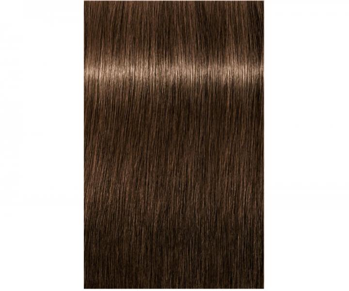 Farba do wosw Schwarzkopf Professional Igora Royal 60 ml - 5-65 jasny brz czekoladowy zoty
