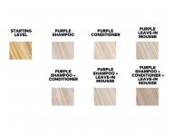 Seria neutralizuj�ca ��te tony Yellow Professional Silver Purple