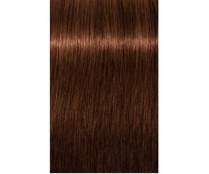 Farba do wosw Schwarzkopf Professional Igora Royal 60 ml - 5-7 jasny brz miedziany
